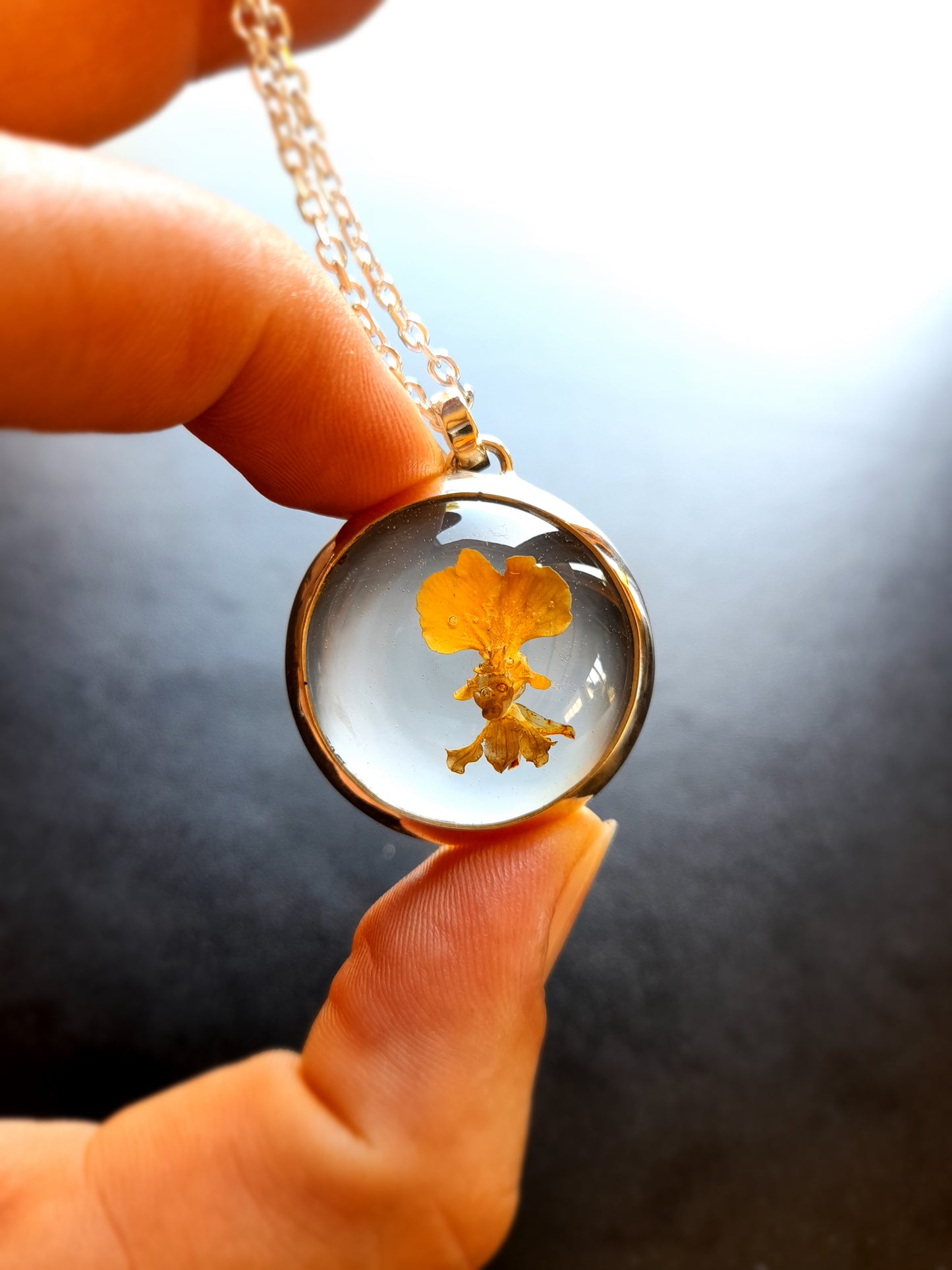Orquídea Patito