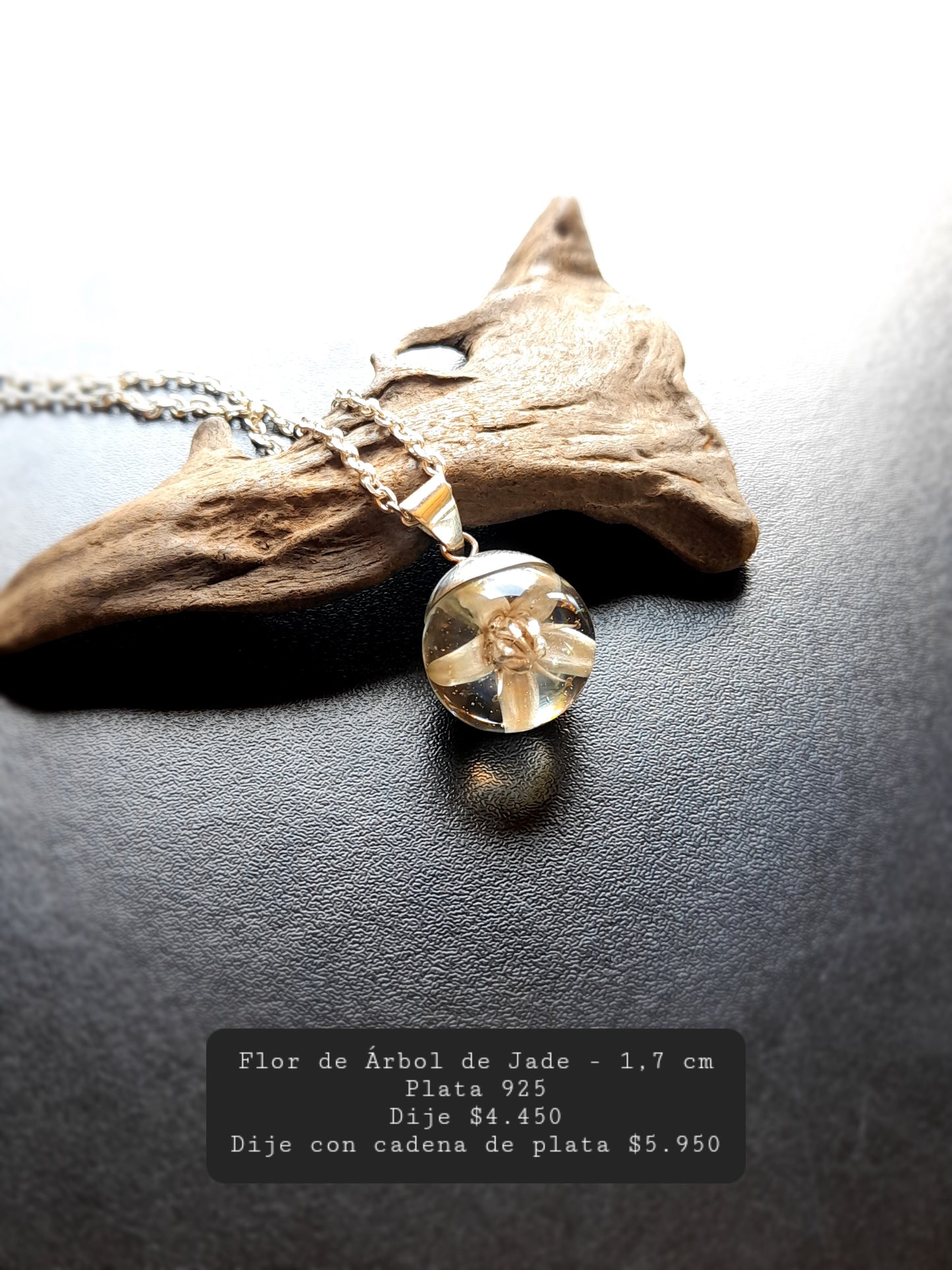 Flor de Árbol de Jade