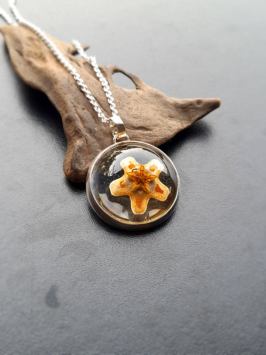 Flor de Nácar