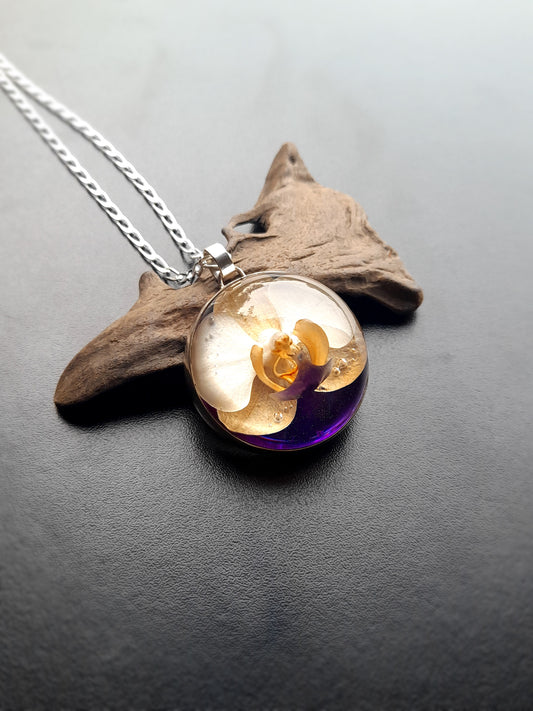 Orquídea