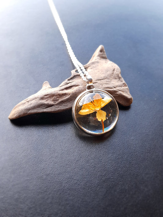 Flor de Ciruelo