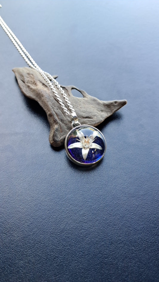 Flor de Árbol de Jade