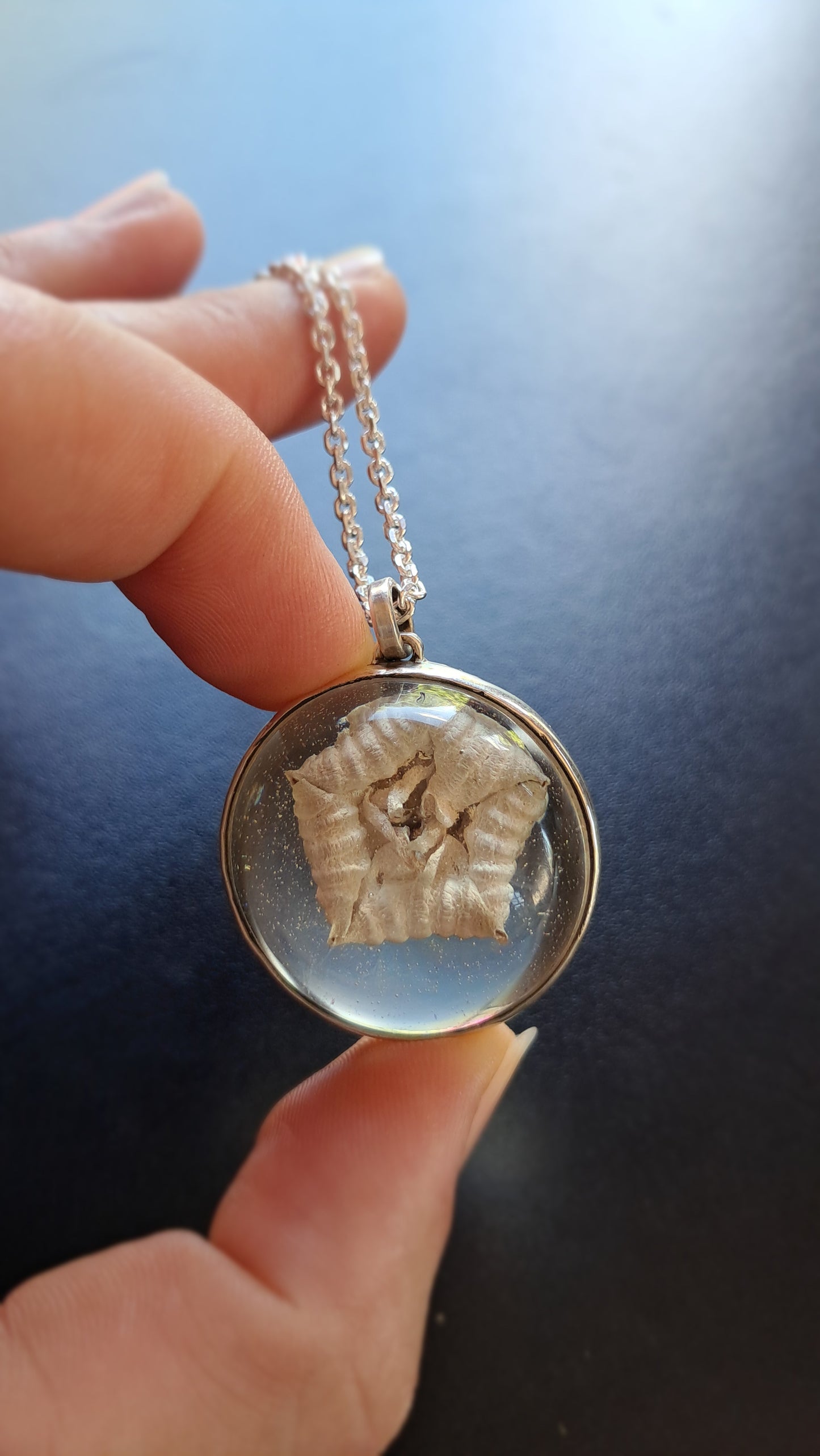 Flor Estrella u Orbea