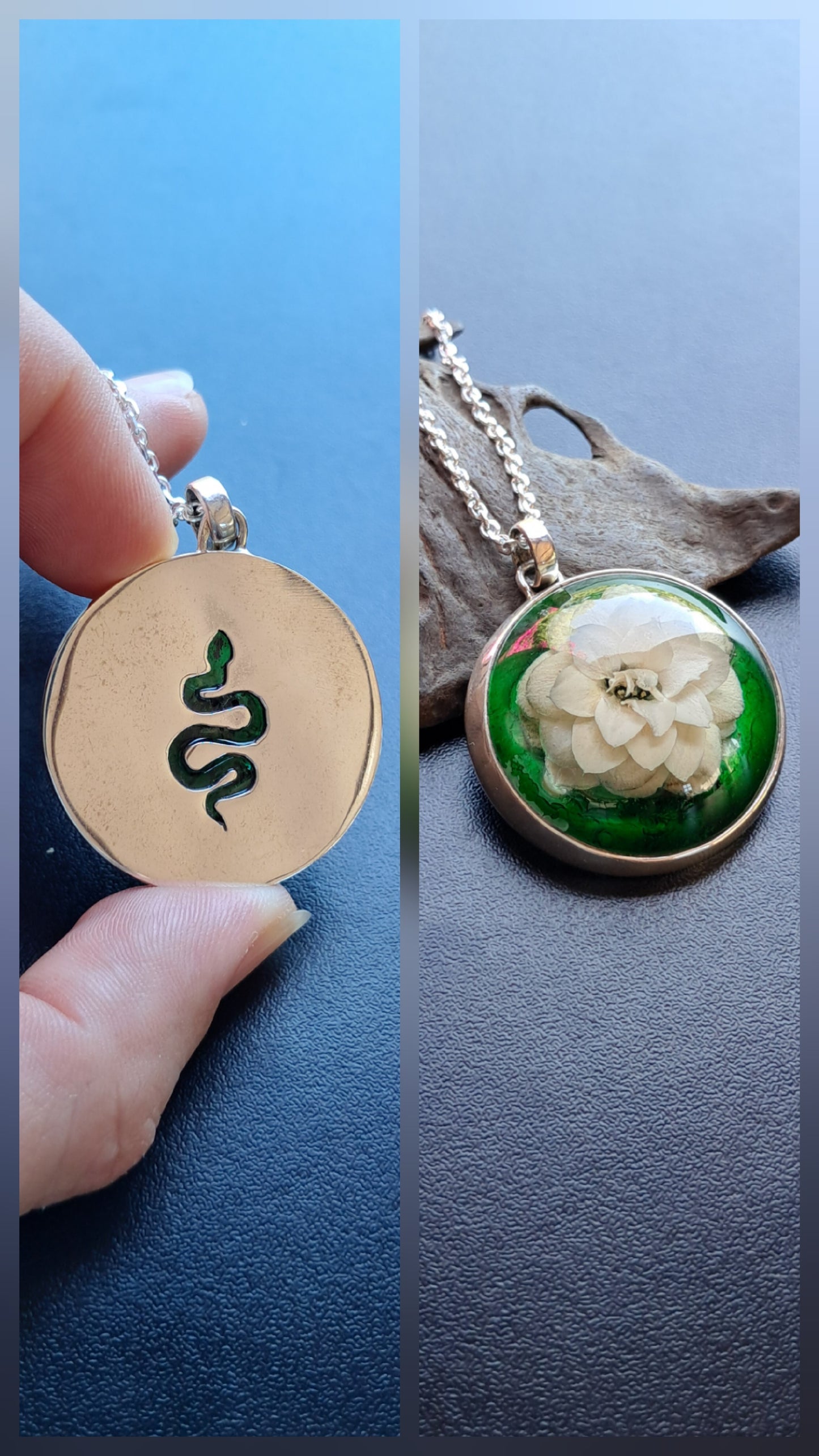 Kalanchoe con calado de serpiente