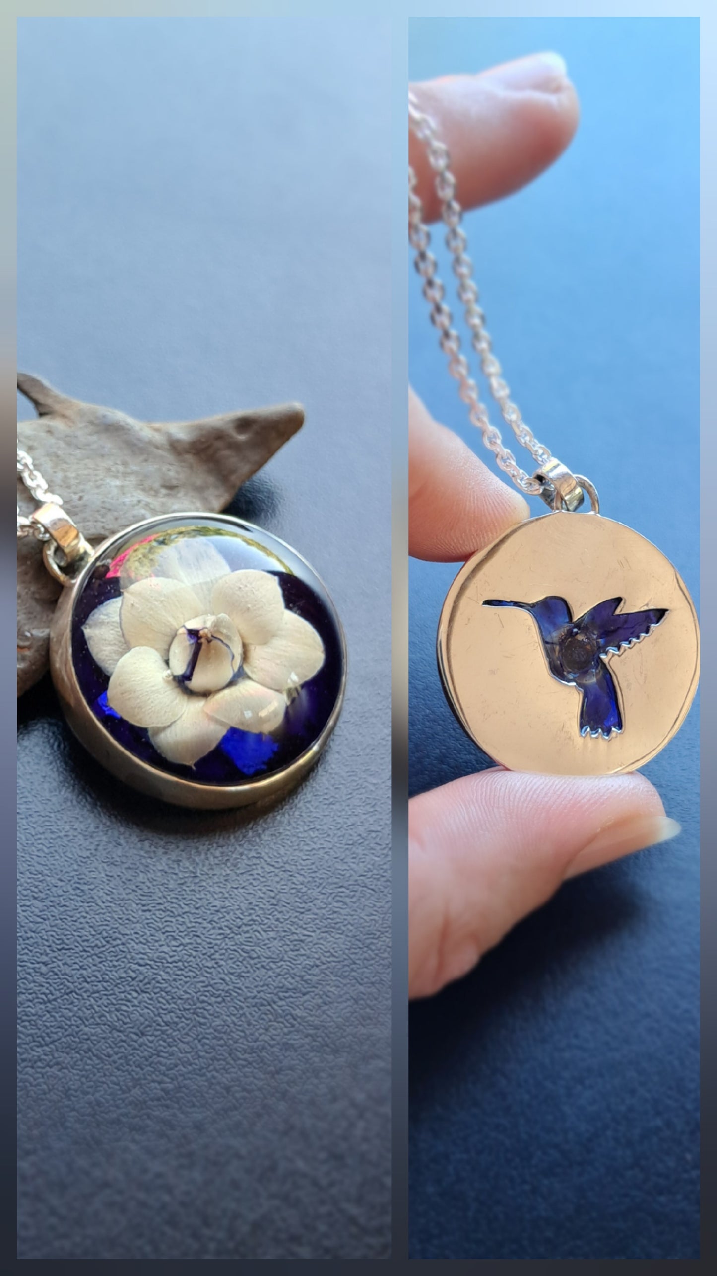 Kalanchoe con calado de colibrí