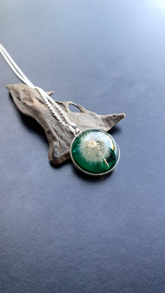 Panadero con calado de colibri