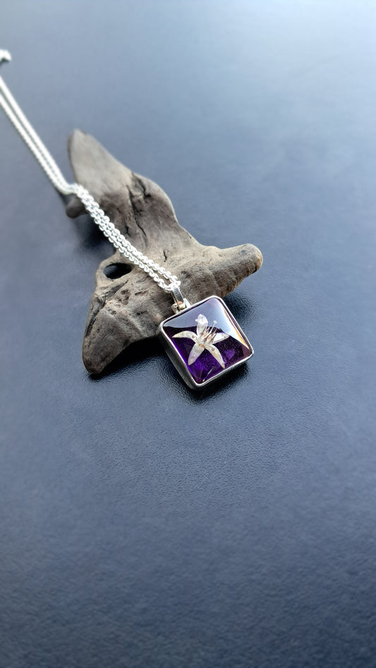 Flor de Árbol de jade