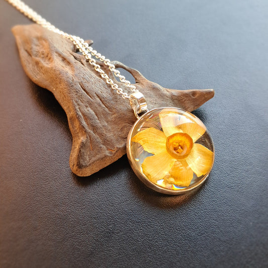 NARCISO - plata 925
