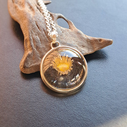 Margarita cimarrona - plata 925