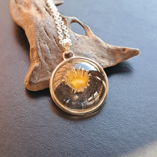 Margarita cimarrona - plata 925