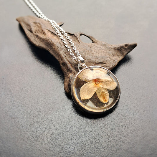 Jazmín del país - plata 925