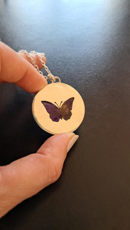 Margarita con calado de Mariposa - plata 925