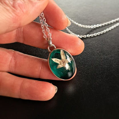 Flor de Árbol de Jade - Plata 925