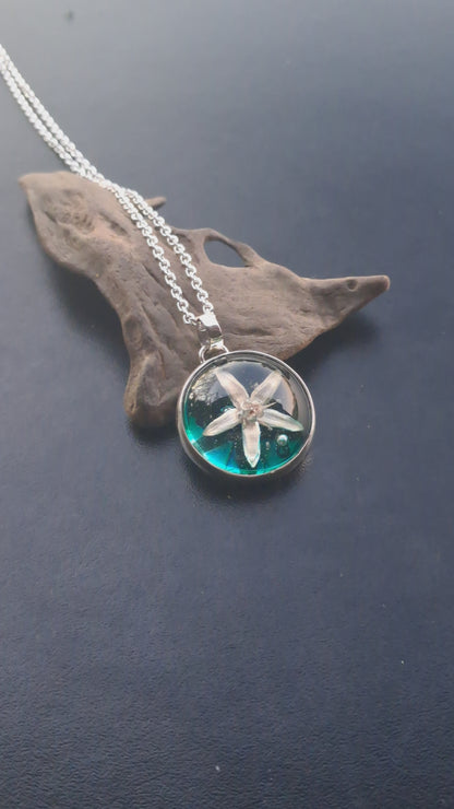 Flor de Arbol de Jade