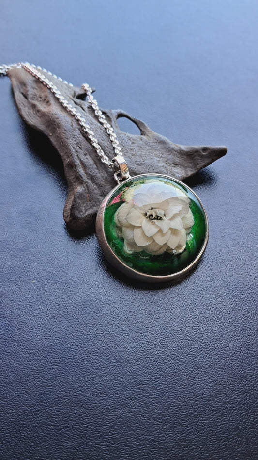 Kalanchoe con calado de serpiente