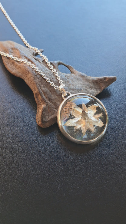 Borraja - plata 925