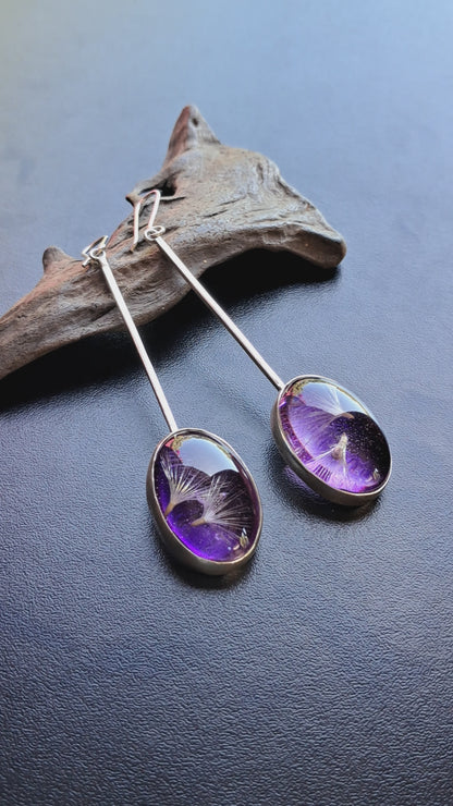 Caravanas largas aquenios