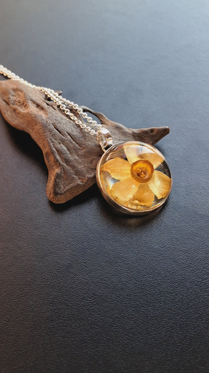 NARCISO - plata 925