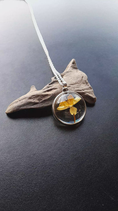 Flor de Ciruelo