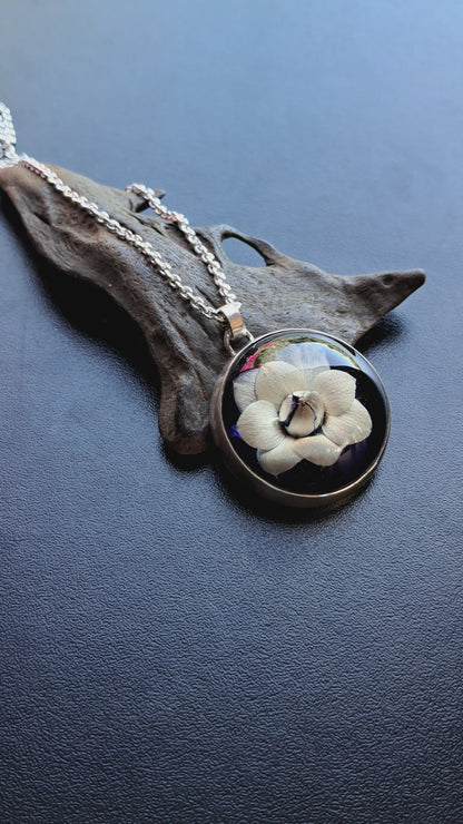 Kalanchoe con calado de colibrí