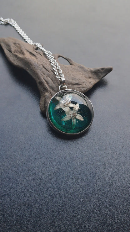 Flores de árbol de Jade