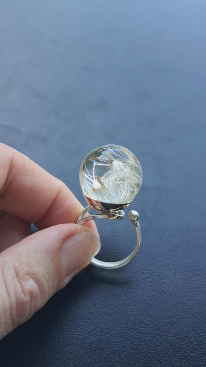 Anillo Aquenios