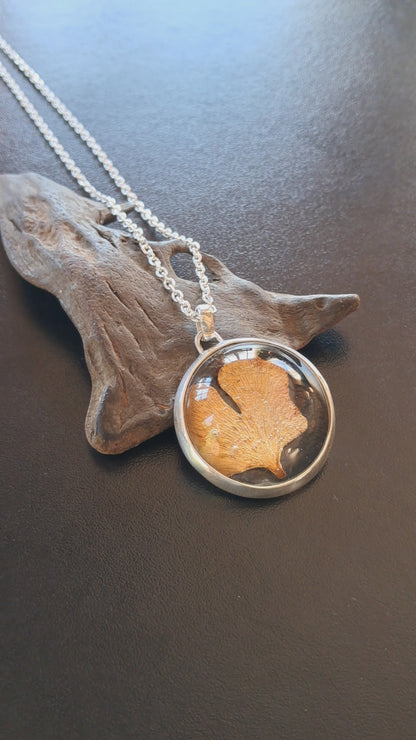 Ginkgo Biloba - Plata 925