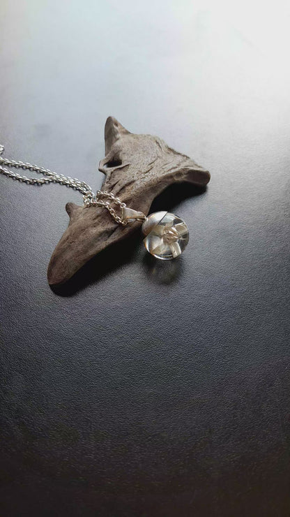 Flor de Árbol de Jade