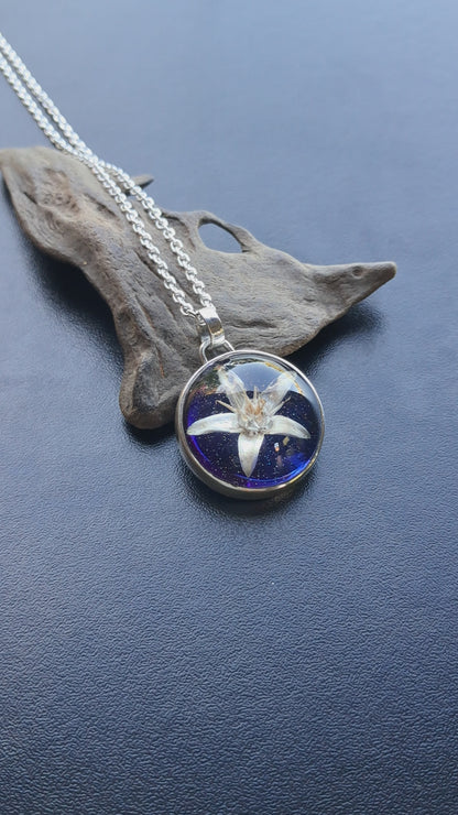 Flor de Árbol de Jade