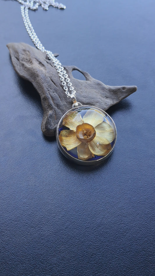 Narciso con calado de colibrí